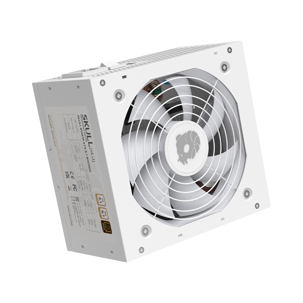 NEWZEN SKULL 650EM 80PLUS����� ATX3.1 ȭ��Ʈ