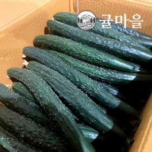 귤마을 가정용 가시오이 10kg이미지입니다. 누르면 해당 게시물로 새창이동합니다.