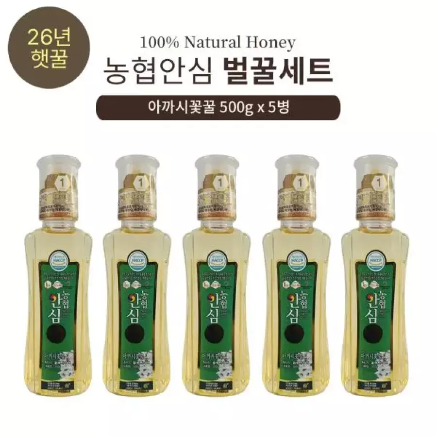 한국양봉농협 농협안심특화꿀 아까시꽃꿀 500g (5개)_이미지