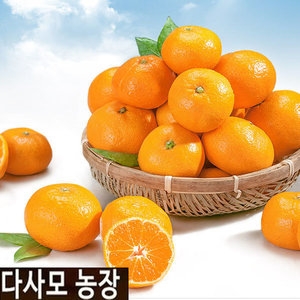  다사모농장 맛있는감귤 중과 15kg [1개] 상품이미지
