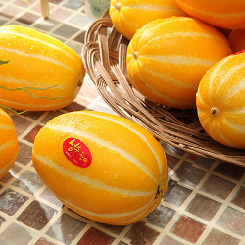 ������� ���� �˶� ���� ������ 10kg