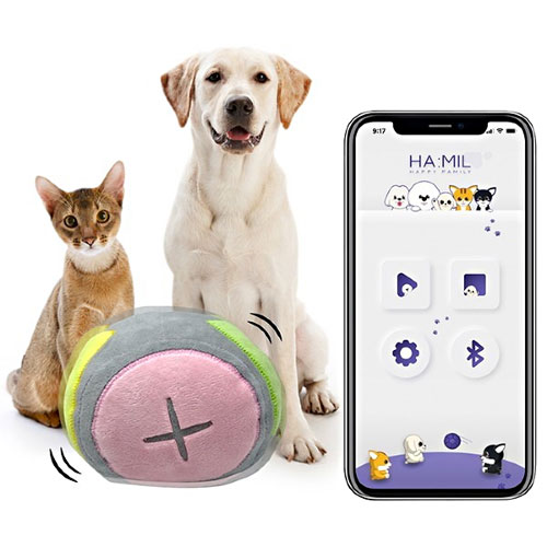 �ع��� �������� ����Ʈ ���κ�