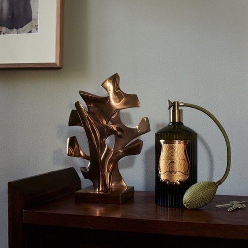 ��ǰ �� �̹���