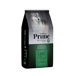 ī��ֱ׸�ǻ���� ��Ʈ���� �� ������ ��������� 25% ū�˰��� 20kg