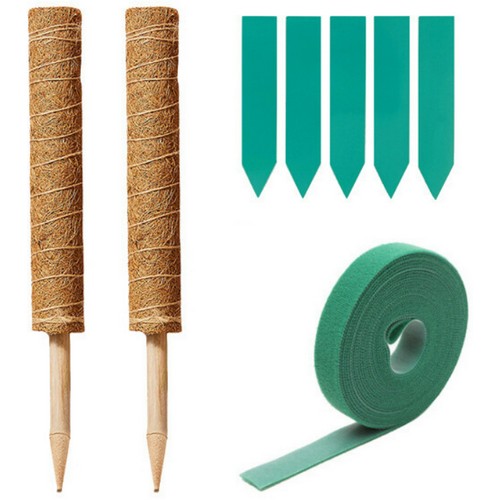 미화부장 식물지지대 수태봉 50cm 2개 + 벨크로 1개 + 이름표 5개