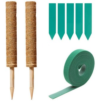미화부장 식물지지대 수태봉 50cm 2개 + 벨크로 1개 + 이름표 5개