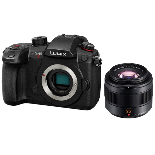 �ĳ��Ҵ� ��ͽ� DC-GH5 II ���Ʈ