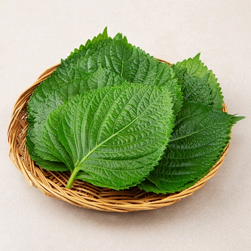 곰곰 GAP 밀양 깻잎 30g (5개)_이미지