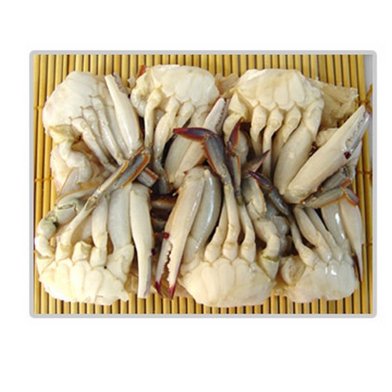 고래푸드 속이 꽉찬 절단꽃게 2S이미지입니다. 누르면 해당 게시물로 새창이동합니다.