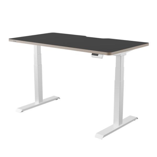 카멜마운트 핏쳐 프리미엄 보쉬모터 B1 3STEP 모션 스탠딩 책상 (1200x750)_이미지