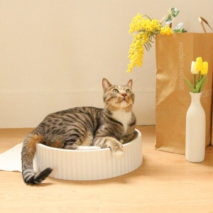 [�Ҹ�] ŰƮ�� ȭ��Ʈ Ŭ���� ��ũ���� �ߴ��� 40cm