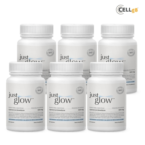 ����Ʈ�۷ο� ������ �۷�Ÿġ�� 500mg 60��