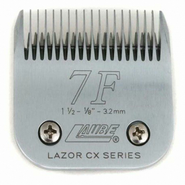 리케이 킴라베 교체날 (7번, 7F)_이미지