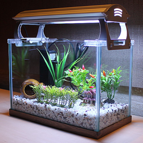 [불명] 프리미엄 슬림형 누드큐브 중형 풀세트