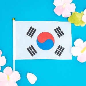 ��ȭ�� �̴� �±ر� �츮���󸸵�� �±ر�׸��� �����ŰƮ �������� ����� �ʵ�̼� DIY ��Ʈ �ٹ̱�