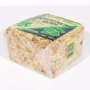 [불명] 수태 화분 분갈이흙 분갈이 난