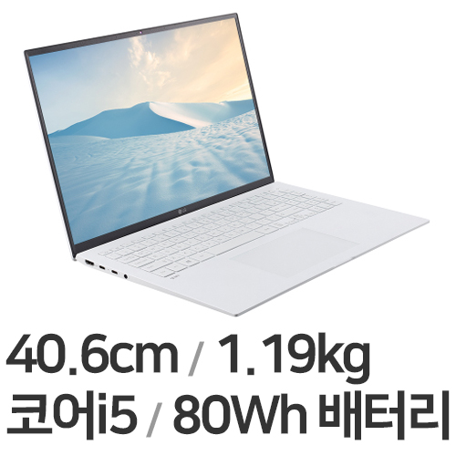 LG전자 2021 그램16 16ZD90P-GX5TK WIN10 (SSD 256GB)
