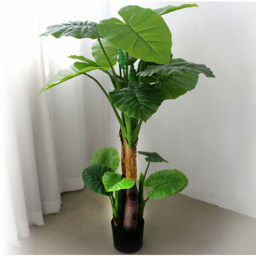 조아트  2단 알로카시아 120cm