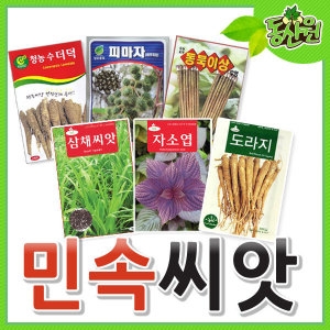 씨앗모음 민속채소 씨앗 우엉 더덕 도라지 황기 곰취