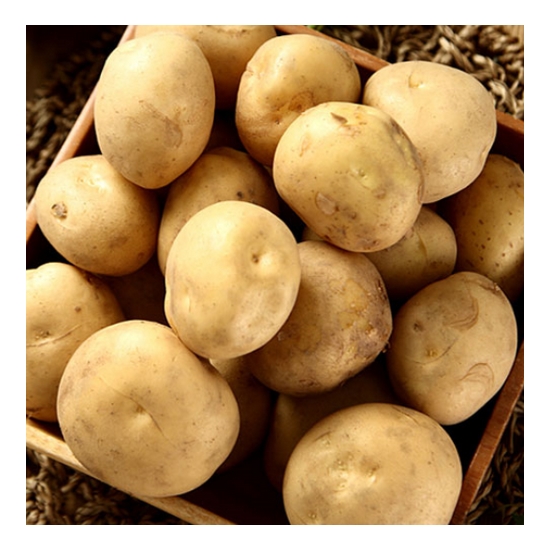 국내산 수미 감자 중 10kg