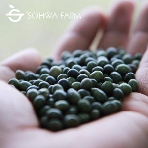 수박태 콩나물콩 1kg