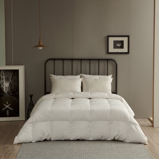 ������ ����ī �ξⱸ���� 90