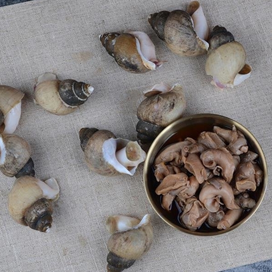 ������Ǫ�� ���� ������� 500g