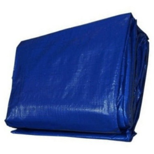 ����� õ���� ����� ������