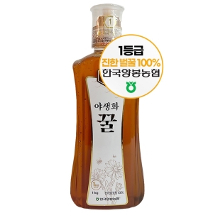 한국양봉농협 야생화 꿀 500g 1개_이미지