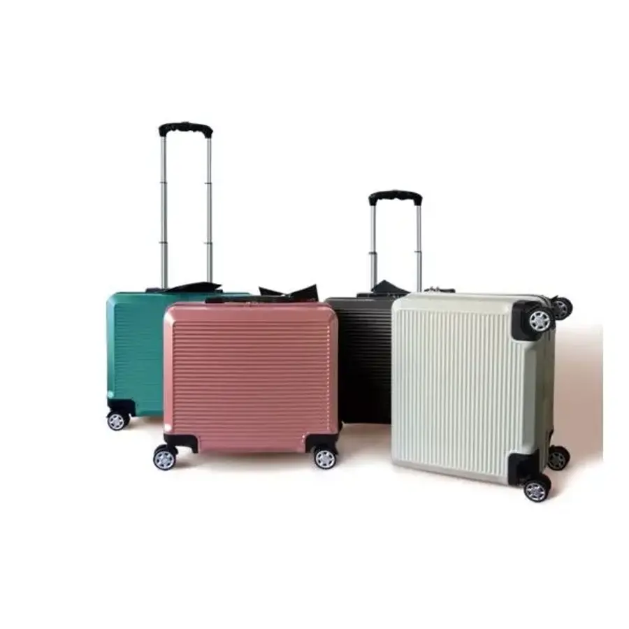 100% PC 캐리어 L 16 인치 253738