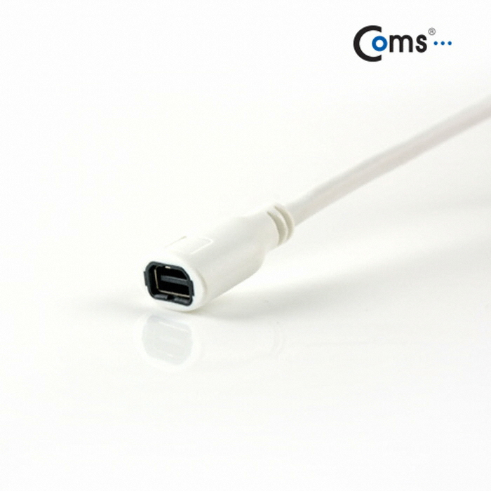Mini DisplayPort (M/F) 연장 케이블