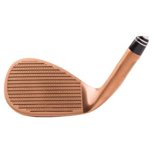 ���̽����� ĳ��Ʈ �е� �ͽ�Ʈ�� ������ 2.0 ���� ����