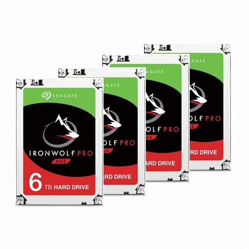 Seagate IronWolf Pro 패키지 7200/256M ST6000NE0021 (4x6TB)