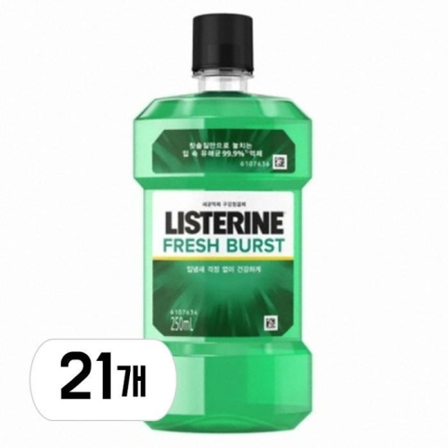 존슨앤존슨 리스테린 후레쉬 버스트 250ml (21개)