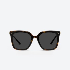 젠틀몬스터 뉴 허 T1