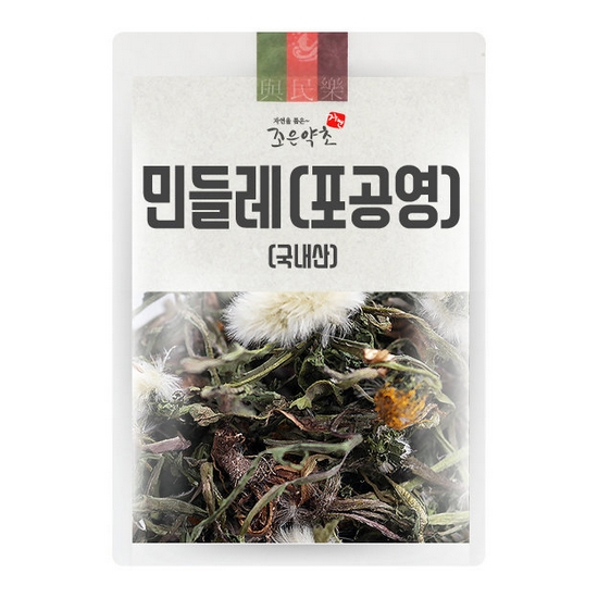 조은약초 민들레 (포공영) 200g (1개)_이미지
