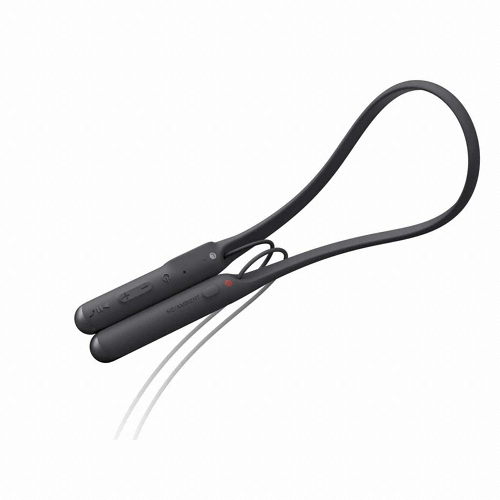 SONY WI-C600N (정품)_이미지