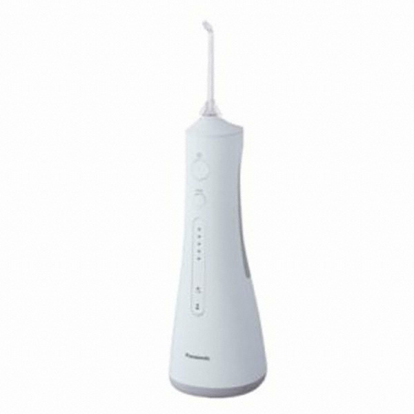 파나소닉 제트워셔 EW-1511 (1개)