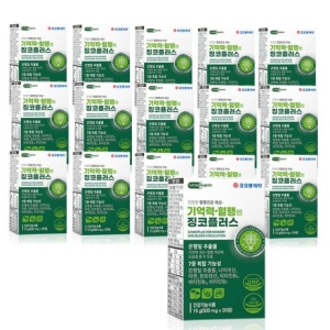 코오롱제약 기억력 혈행엔 징코플러스 500mg 30정 (16개)_이미지