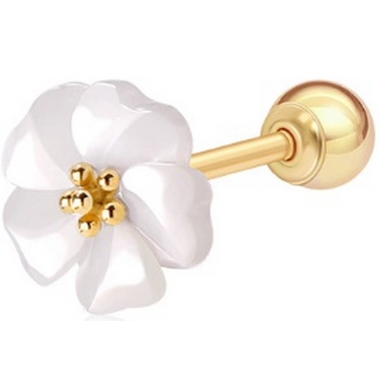 ����� 14K ü������� �Ǿ��