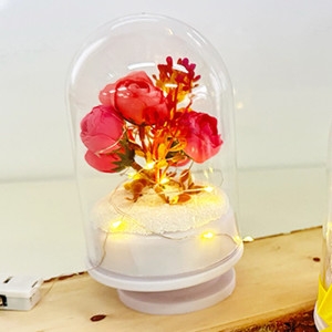 ��� ����� LED ��ȭ �� ������ ���ŧ���� ��ȭ ����� 1�μ�Ʈ DIY ī���̼Ǹ����