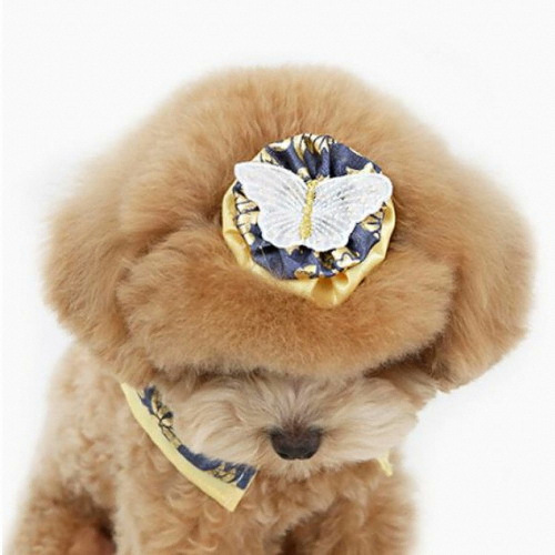 ������ �ݲɺ� �达���