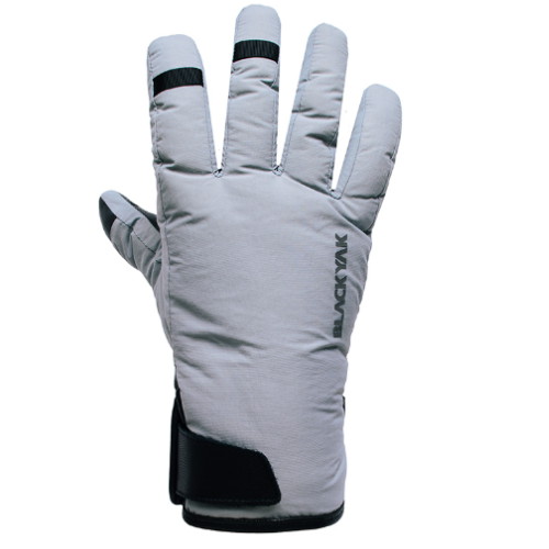 ������ũ BAC�е����ѱ۷��� �ǹ� 2BYGVF4914SI