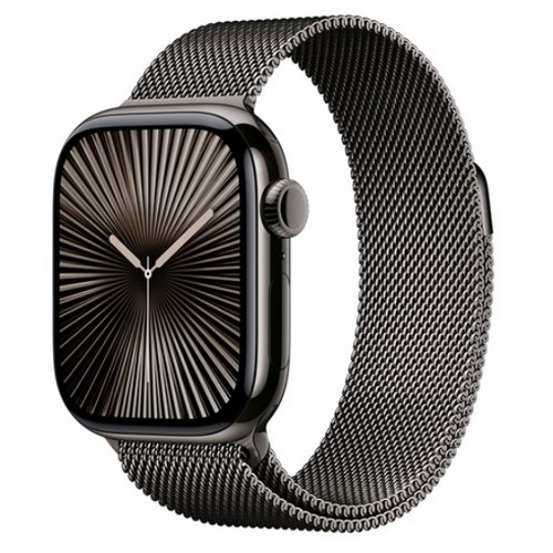APPLE 워치 시리즈10 46mm Cellular 슬레이트 티타늄 (밀레니즈루프)_이미지