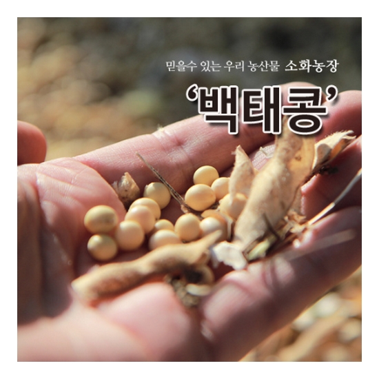 백태(메주콩) 1kg