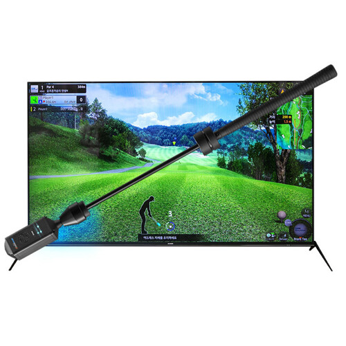 ������ ����Ȩ