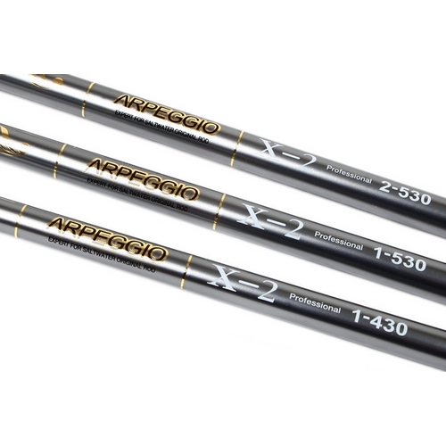 ������ �Ƹ������� X-2