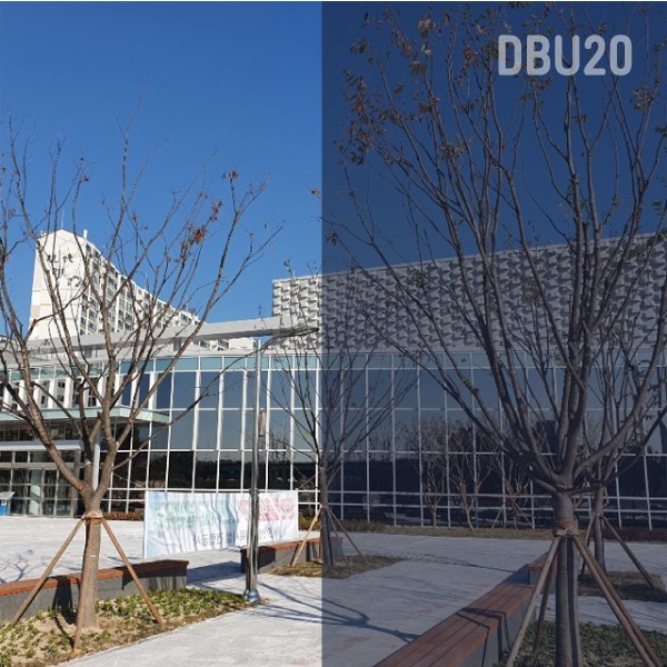 �����Ƚ� ����ʸ� ������