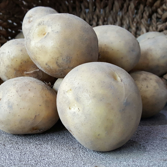 친환경팔도 하우스 햇 수미감자 왕 20kg