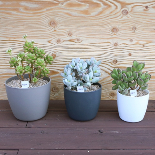 전원테크 플라팜 플라팜 화분받침대 4호